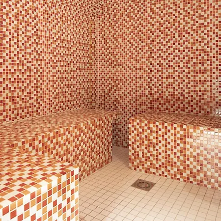 香榭丽舍雷格西亚酒店 4* 巴黎